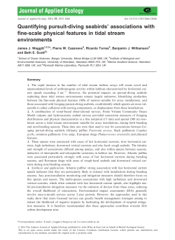 Quantifying pursuit‐diving seabirds` associations with fine‐scale