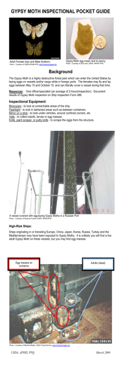 Gypsy Moth Inspectional Pocket Guide