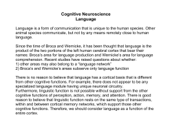 Topic 11 - Center for Complex Systems and Brain Sciences