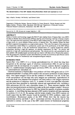 The characterization of the EBV alkaline deoxyribonuclease cloned
