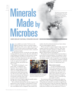 some geology naturally requires biology