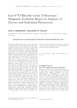 Low-18O Rhyolites from Yellowstone