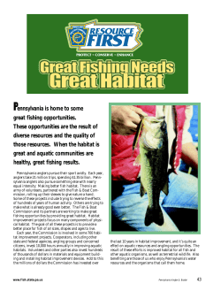Great Fishing Needs Great Habitat