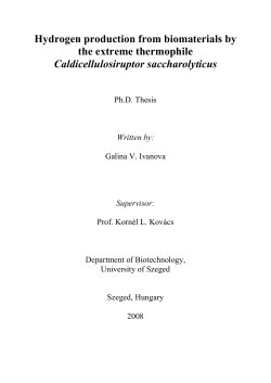 PhD thesis Galina IvanovaH2ase User