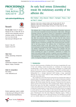An early fossil remora - Proceedings of the Royal Society B
