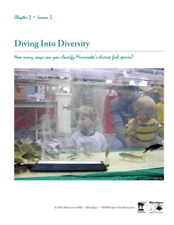 Diving into Diversity - Minnesota DNR - MN-dnr