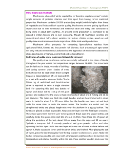 Mushroom cultivation