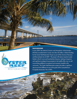 Click here to view the Oyster Reef Restoration Fact Sheet.