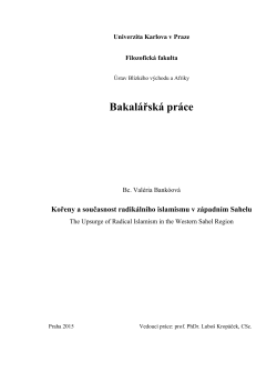 Bakal&aacute;řsk&aacute; pr&aacute;ce - Univerzita Karlova