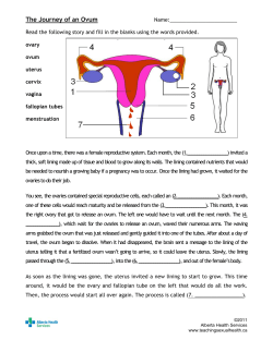 The Journey of an Ovum - hrsbstaff.ednet.ns.ca