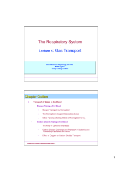 4_ Gas transport