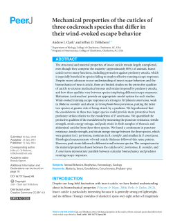 Mechanical properties of the cuticles of three cockroach