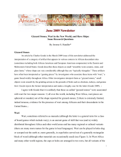 Gizzard Stones, Wari in the New World, and Slave Ships