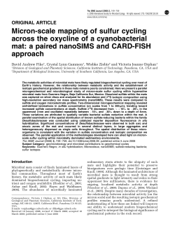 Micron-scale mapping of sulfur cycling across the oxycline of a