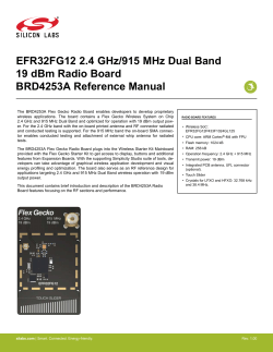 EFR32FG12 2.4 GHz/915 MHz Dual Band 19 dBm