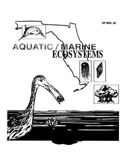 About AQUATIC/MARINE ECOSYSTEMS... - Florida 4-H