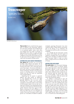 Bird Table 74 Treecreeper species focus