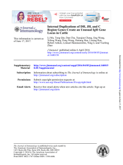 Internal Duplications of DH, JH, and C Region Genes Create an