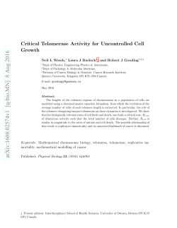 Critical Telomerase Activity for Uncontrolled Cell Growth