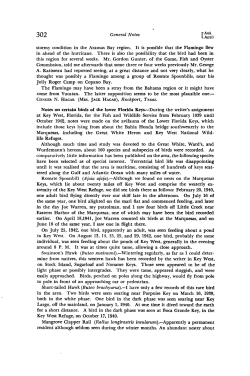Notes on Certain Birds of the Lower Florida Keys