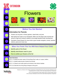 Flowers - The Learning Child - University of Nebraska&ndash;Lincoln