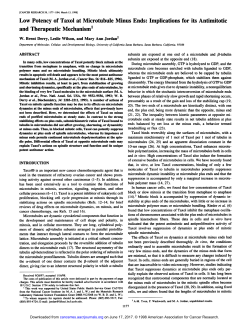 Low Potency of Taxol at Microtubule Minus Ends