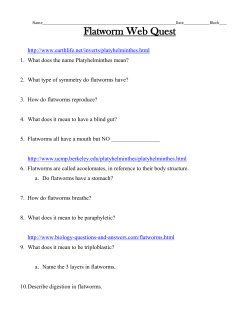 Flatworm Web Quest