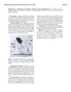 BIOLOGICAL AFFINITIES OF ARCHEAN SPINDLE