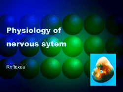 8. Physiology of reflexes
