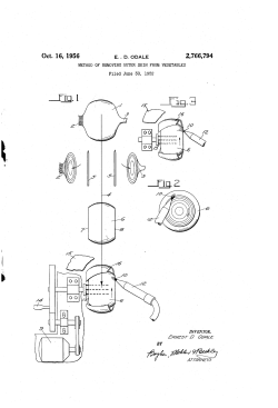 fR/VEST 0 004115