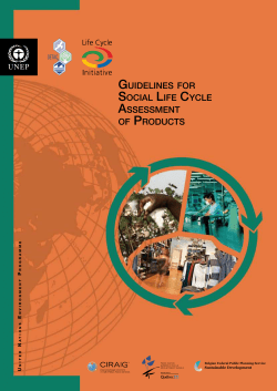 guidelines for social life cycle assessment of products