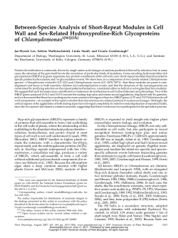 Between-Species Analysis of Short-Repeat