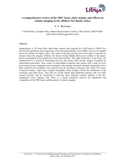 A comprehensive review of the MSC facies, their origins, and