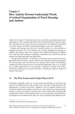 How Autistic Persons Understand Words (Cerebral Organization of
