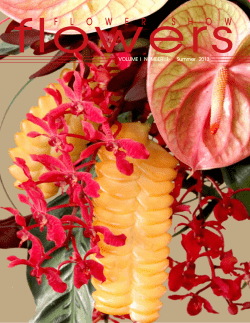 File - flower show flowers