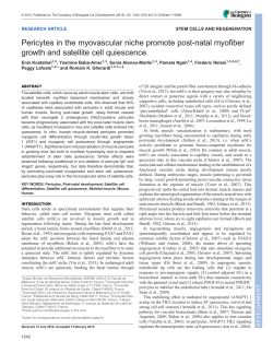 Pericytes in the myovascular niche promote post