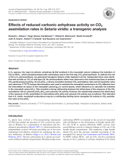 Full Text  - Journal of Experimental Botany