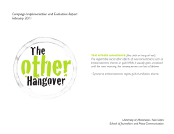 Other Hangover - Responsibility.org