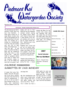 chlorine poisoning submitted by jack mcneary 2007