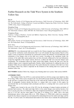 Further Research on the Tidal Wave System in the Southern Yellow