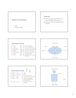 Medical Terminology
