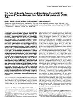 The Role of Osmotic Pressure and Membrane Potential in K+