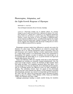 Phototropism, Adaptation, and the Light-Growth