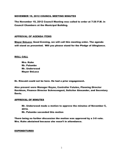 2012 November 19th Council Meeting Minutes