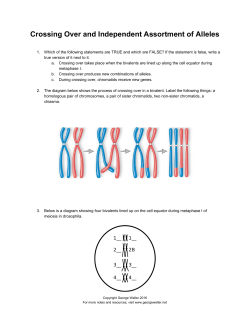 Crossing Over and Independent Assortment of Alleles