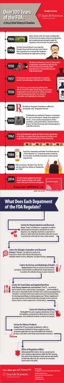 Over 100 Years of the FDA