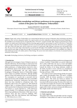 Mandibular morphology and dietary preferences