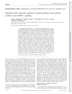 Nutritional and contractile regulation of human skeletal muscle