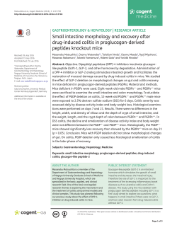 Small intestine morphology and recovery after drug