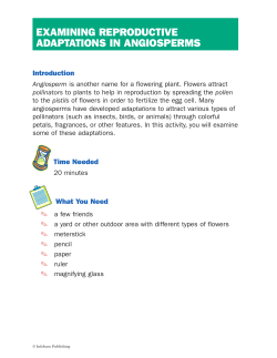 examining reproductive adaptations in angiosperms